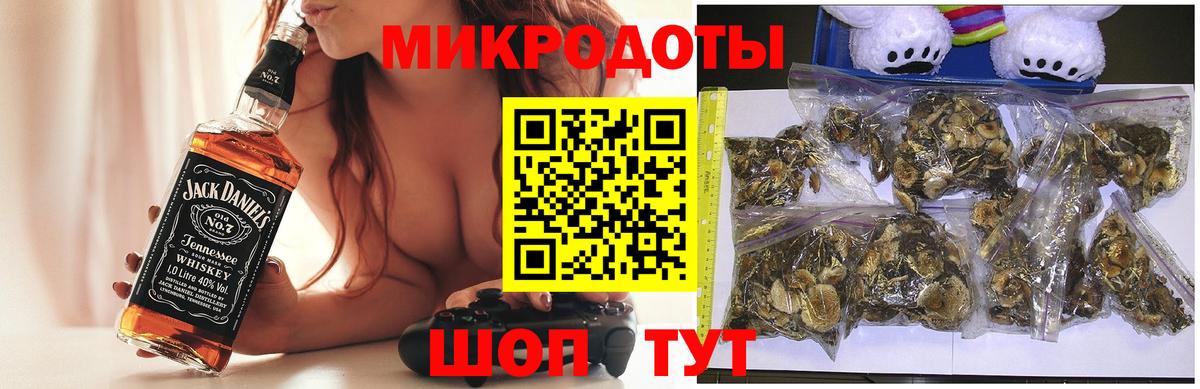 Саратов  Псилоцибиновые грибы Psilocybine cubensis  Вход с VPN  магазин  наркотиков  Псилоцибиновые грибы Psilocybine cubensis 